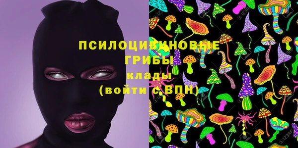 мдпв Михайлов