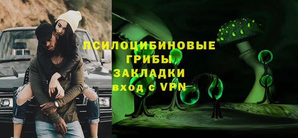 мдпв Михайлов