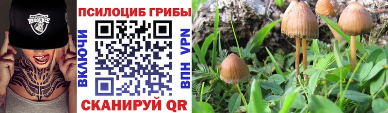 Галлюциногенные грибы MAGIC MUSHROOMS  Курчатов 